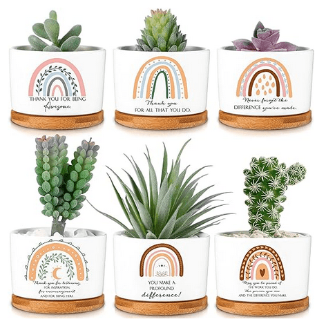 Mini ceramic plant pots
