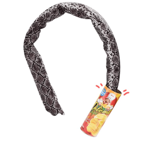 Potato chips can with snake