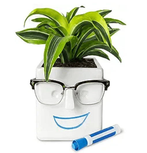 Face plant ceramic pot